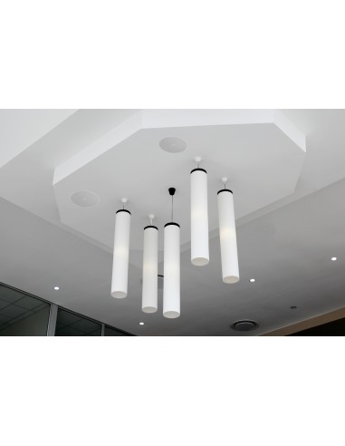 FONESTAR  SKY-5T-DOME Altavoz de techo 5'' + 1'' con transformador de línea de 100 V y baja impedancia