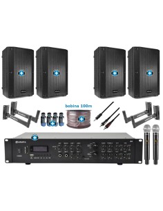 Pack de Sonido 306 Premium - Amplificador con zonas, microfonia   y 4 Altavoces de 10 pulgadas pasivos