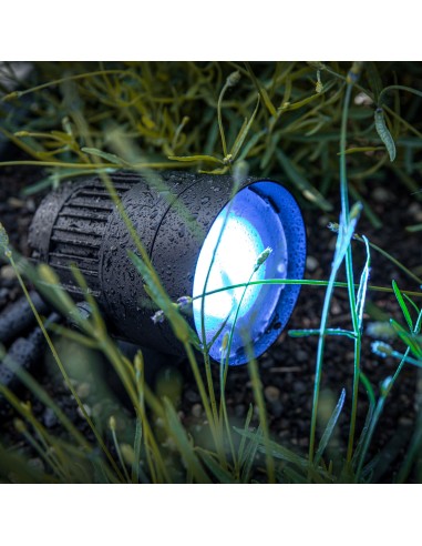 Cameo Q-SPOT 40I Foco compacto para exteriores con LED RGBA de 40 W en color negro