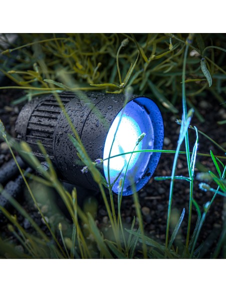 Cameo Q-SPOT 40I Foco compacto para exteriores con LED RGBA de 40 W en color negro