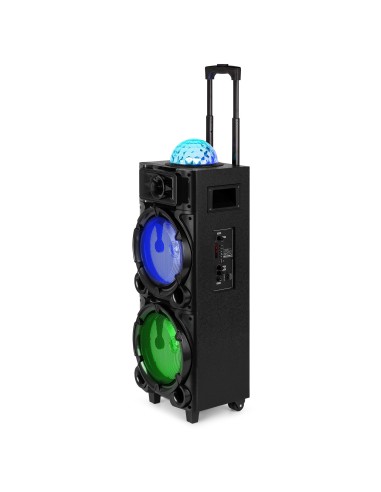 Fenton Estación Karaoke LIVE290 con Show de Luces 2x 8”