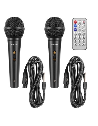 Fenton Estación Karaoke LIVE290 con Show de Luces 2x 8”