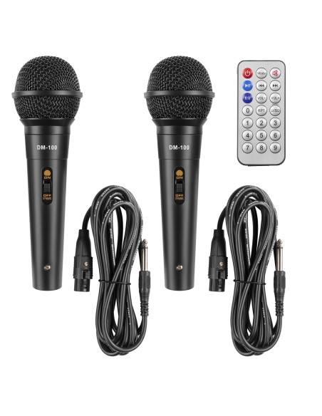 Fenton Estación Karaoke LIVE290 con Show de Luces 2x 8”