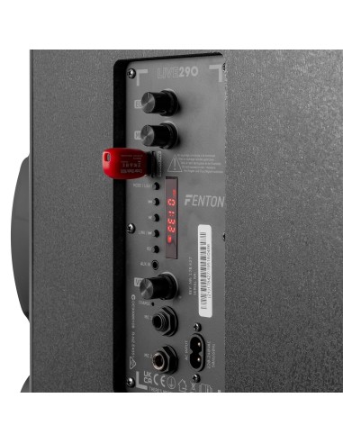 Fenton Estación Karaoke LIVE290 con Show de Luces 2x 8”