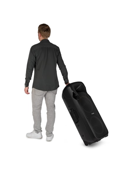 Fenton FT212LED MK2 Bafle Portátil Doble 12" 1400W Bluetooth con Micrófonos UHF y LED