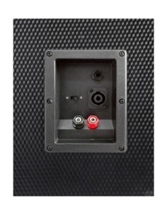 Fenton TL8LED: Altavoz Pasivo 8" con Luces RGB - 400W 2