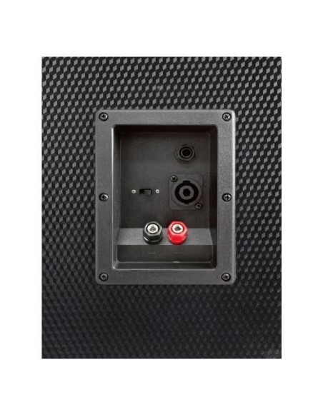 Fenton TL8LED: Altavoz Pasivo 8" con Luces RGB - 400W