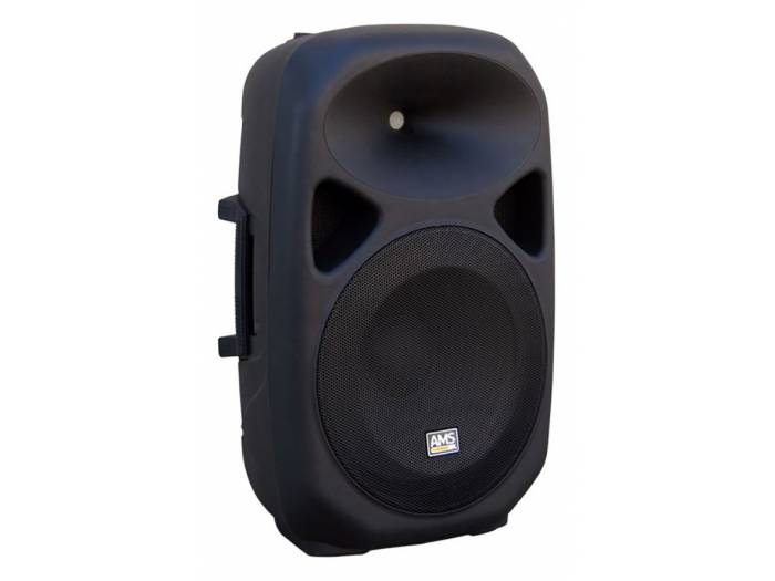 AUDIOMUSIC SYSTEM ASP 210 - Altavoz pasivo - 1