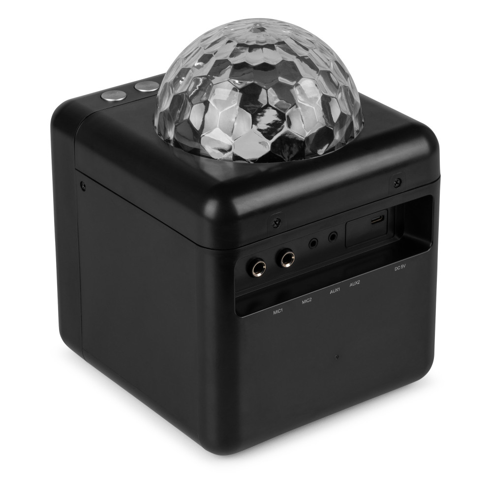 Fenton  KAR15B Altavoz Karaoke con 2 micrófonos Negro