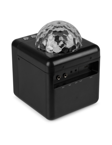 Fenton  KAR15B Altavoz Karaoke con 2 micrófonos Negro