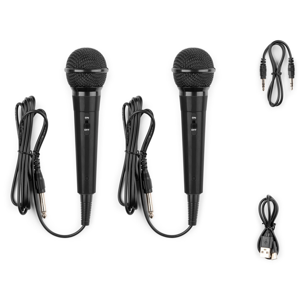 Fenton  KAR15B Altavoz Karaoke con 2 micrófonos Negro