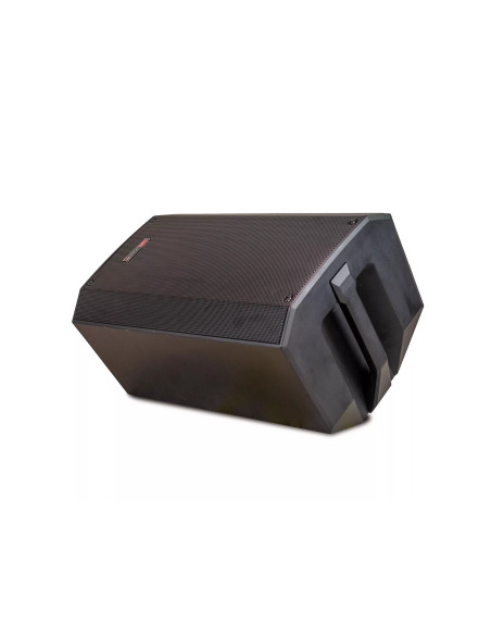 MARK MPB 210 P altavoz portátil con batería 10" Bluetooth USB