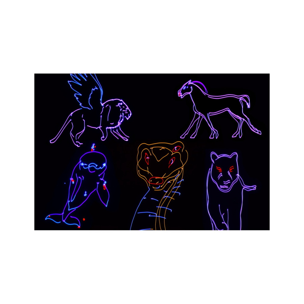 Citronic Animate Smart | Láser RGB con Bluetooth y DMX512