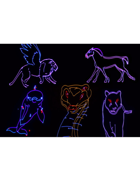 Citronic Animate Smart | Láser RGB con Bluetooth y DMX512