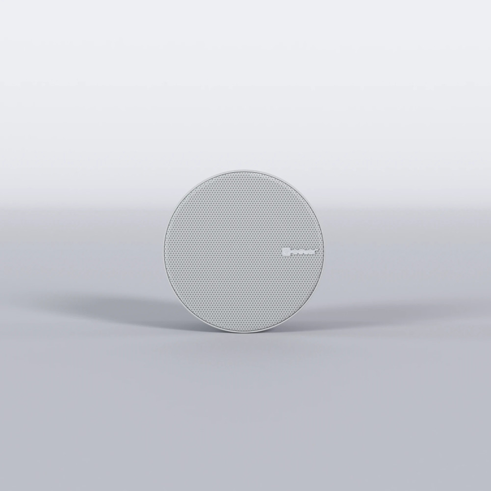 Ecler NIC-3 | Altavoz de techo 3" 20W 100V IP66