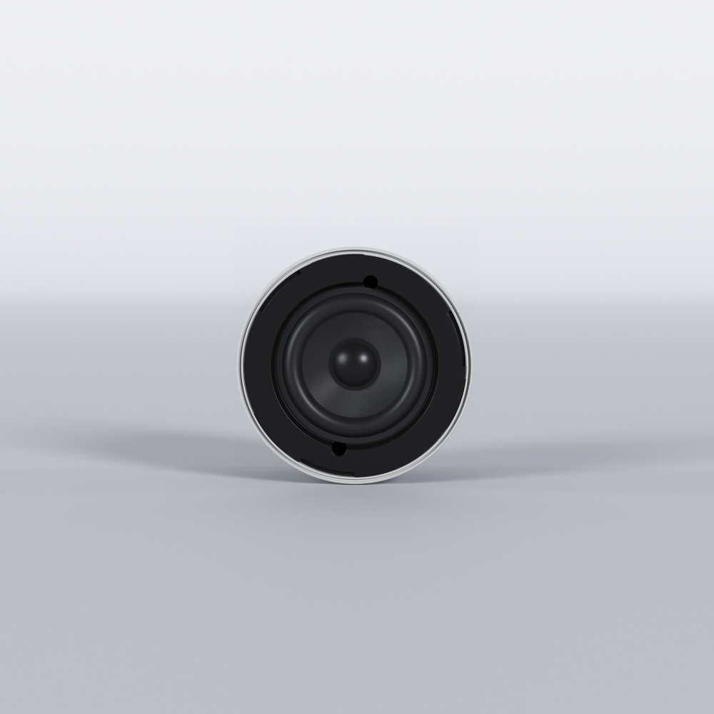 Ecler NIC-3 | Altavoz de techo 3" 20W 100V IP66