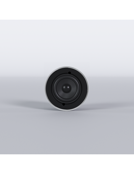 Ecler NIC-3 | Altavoz de techo 3" 20W 100V IP66