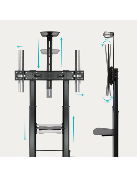 TooQ FS20404HM-B Soporte de Suelo con Ruedas 60-100" 100kg