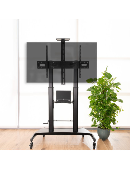 TooQ FS20404HM-B Soporte de Suelo con Ruedas 60-100" 100kg