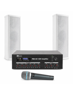 Pack de sonido para capilla PRO 100V con amplificador Power Dynamics PBA120, columnas ICS8 y micrófono Vonyx