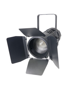 ProLight Scene Fresnel 300 2 in 1 foco LED Fresnel 300W blanco cálido/frío