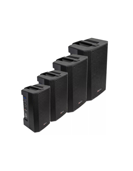 MARK MPB 212 P altavoz portátil 12” con batería