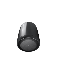 JBL Control 65P/T | Altavoz colgante 100V pareja