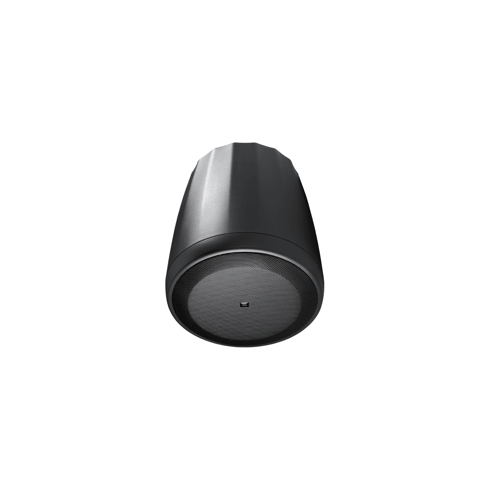 JBL Control 65P/T | Altavoz colgante 100V pareja