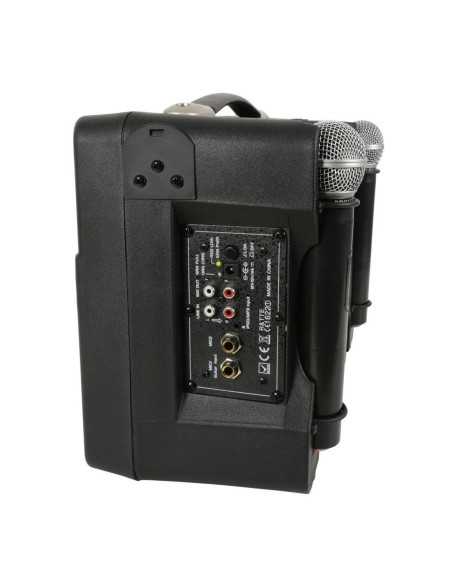 QTX DELTA-50 Altavoz Portátil con 2 Micrófonos