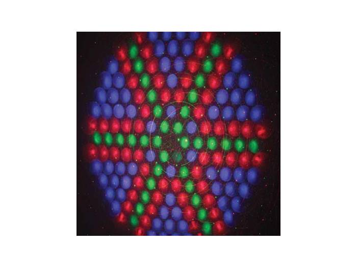 Black Label Led Sensation Led y Laser