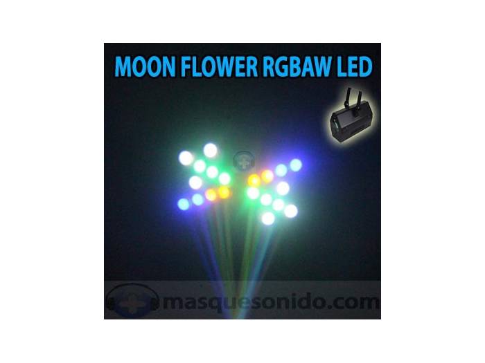 Ibiza Light Moon Flower