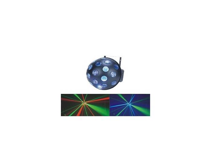 Black Label Led Fiesta - 5