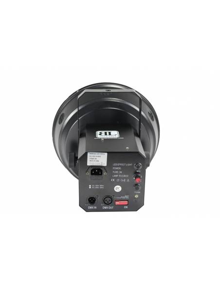 Black Label Led Fiesta - 6