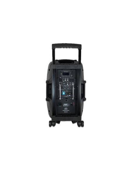 Acoustic Control PORTABLE 12 - Portatil con bateria - 2
