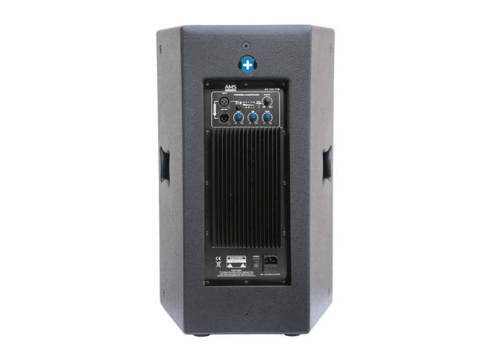 AMS AS 300 PW  - Caja acústica activa. Madera. Woofer 12" 500W. - 2