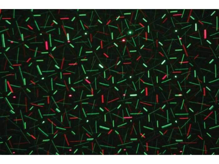 SET IBIZALIGHT NIGHT-LIGHT LED & LASER & FLASH - 15-1212 - 4