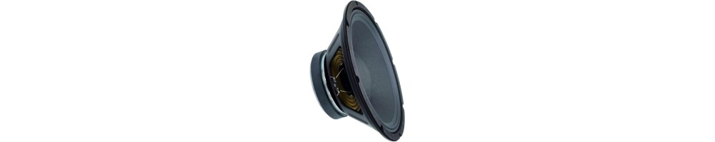 Woofer Altavoz