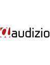 Audizio